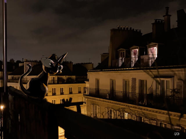 Gato Voyagero Illustration by Gach. Maow at Pigalle. Paris, France.